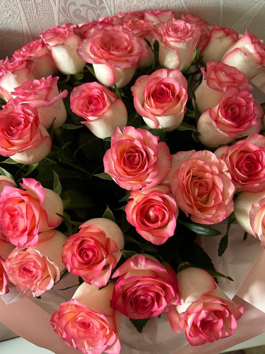 51шт Роз большой красивый