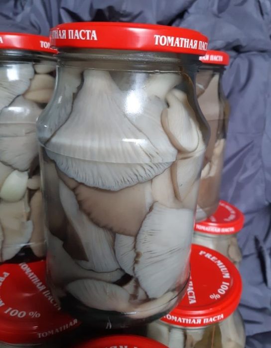 Продам маринованные грибы "Вешенка"