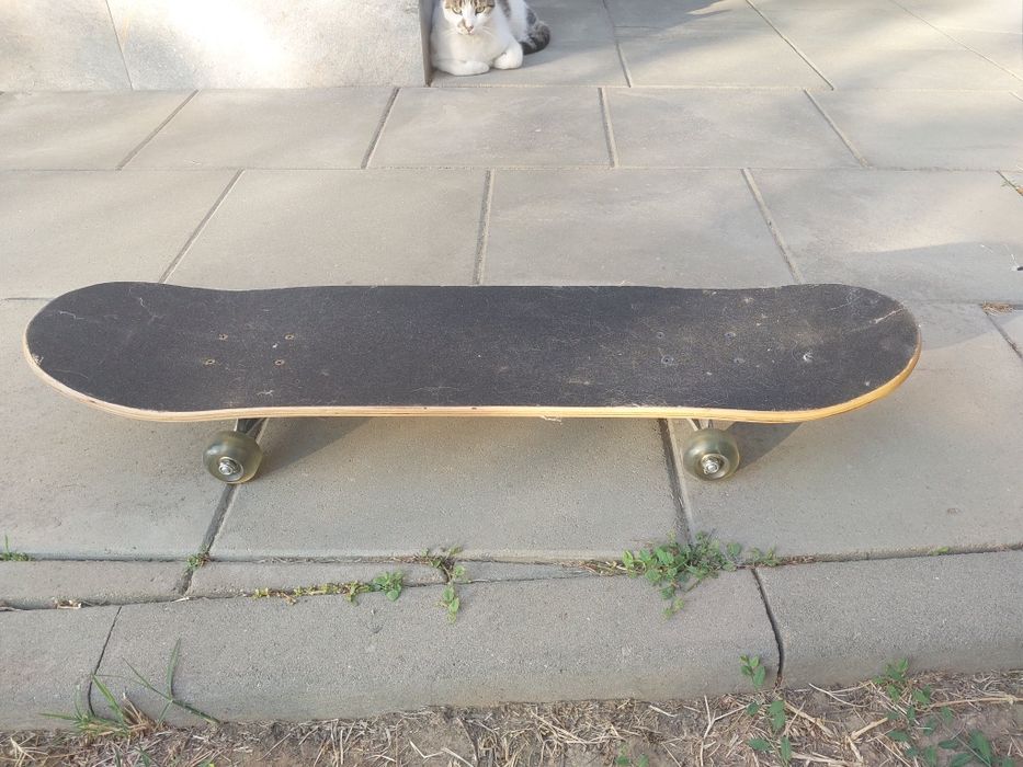 Skateboard STREET BLUE