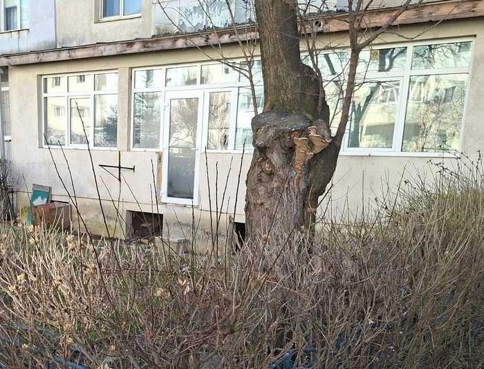 Spatiu comercial - birouri zona centrala - primarie