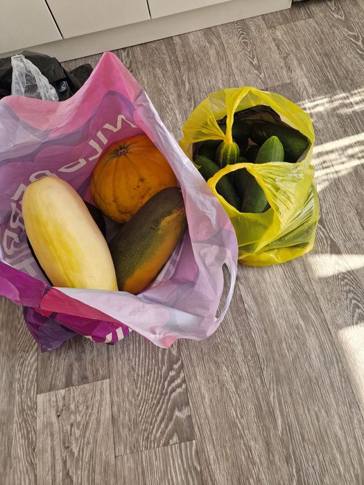 Продам кабачки и огурцы все за 2500 тнг
