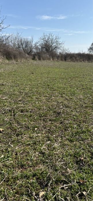 Продава се Парцел в с. Богомилово, Област Стара Загора - 1878 кв.м за 19 €/кв.м - Снимка #3