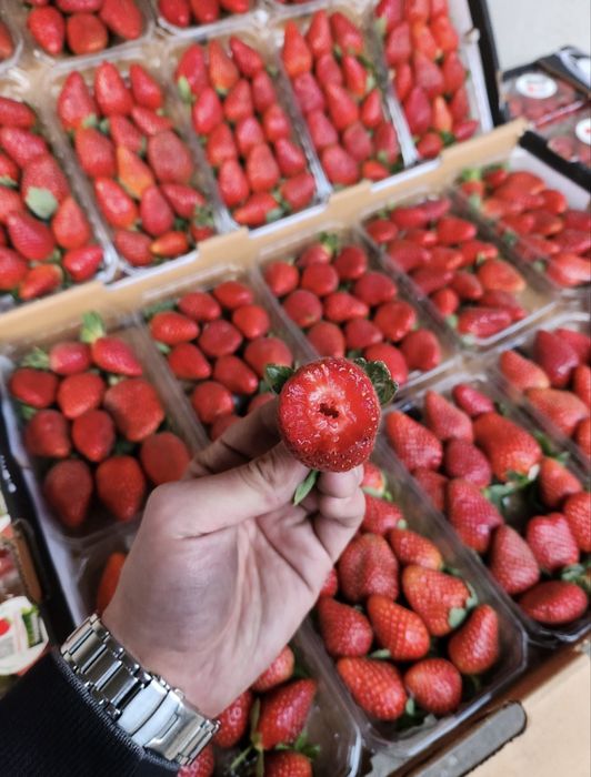 Клубника по 25тыс