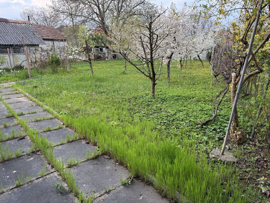 Casa individuala 170mp utili ,teren 900 mp -zona Parcul  Sub Arini