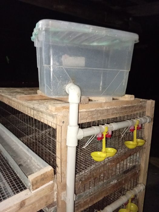 Клетка для перепелов