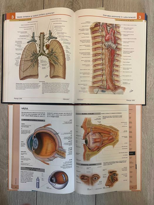 Atlas de Anatomie a Omului editia a 4-a