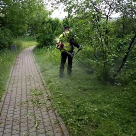 Уборка дачных участков от листвы, сухостоя.