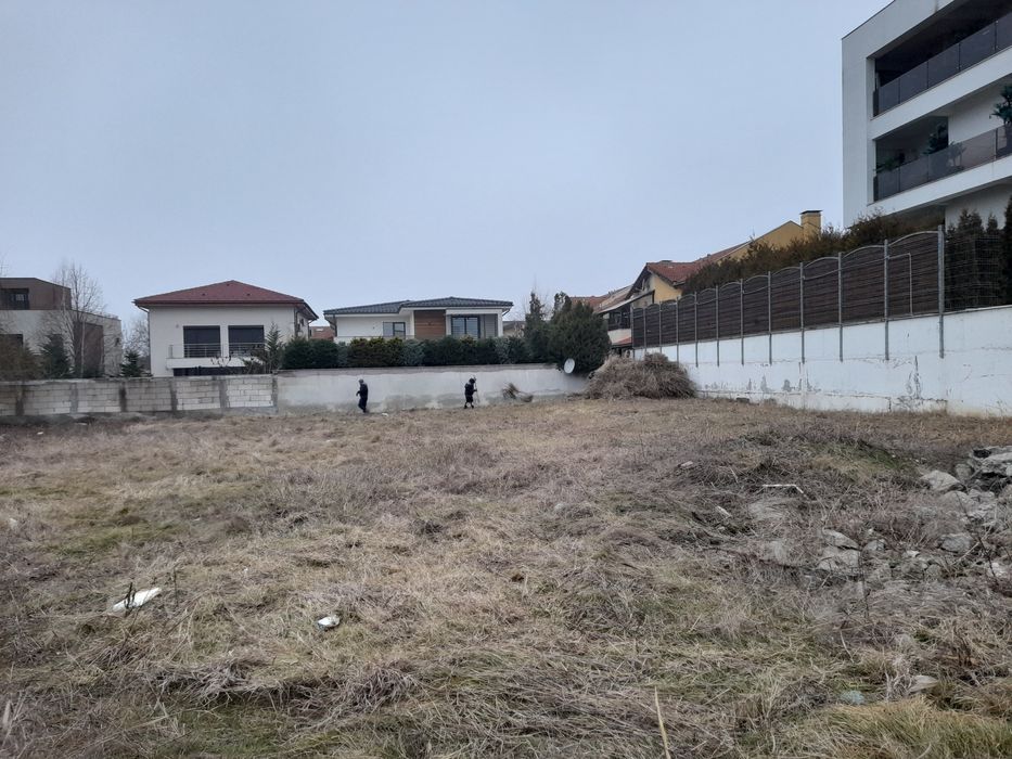 Tăiere copaci defrisari curățare Debarasare evacuare moloz transport