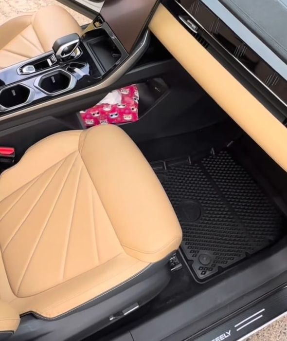 Полики в салон Geely Atlas