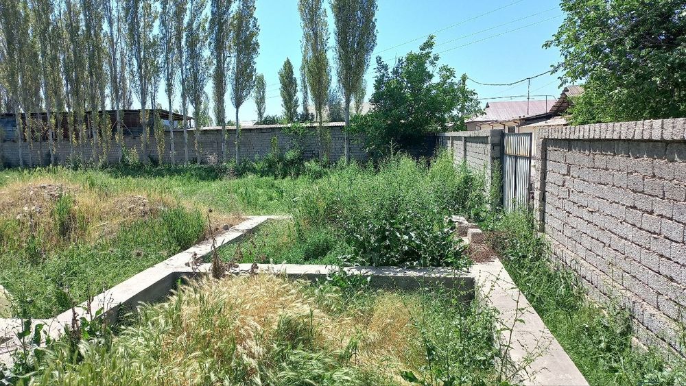 Yangi Toshkent yaqinida yer uchastkasi sotiladi