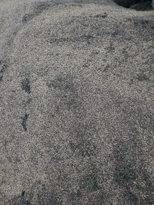 Отходы в перемешку