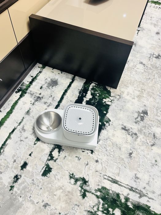 Vand Zestre pentru pisica