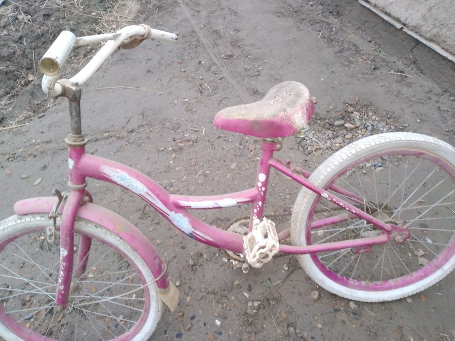 Дедиски велик сотилади нархи 300000 минг яна келишамиз