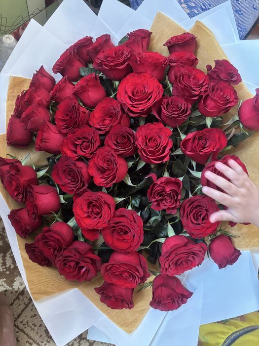 51 штук роза свежая