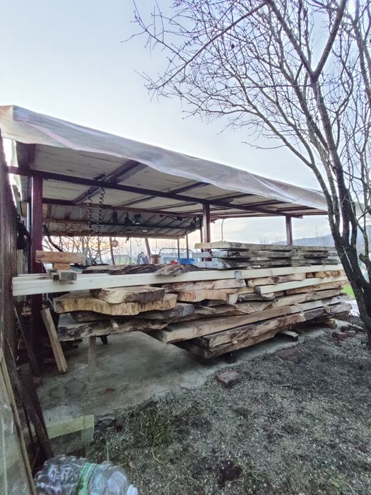 Blaturi de nuc vechi