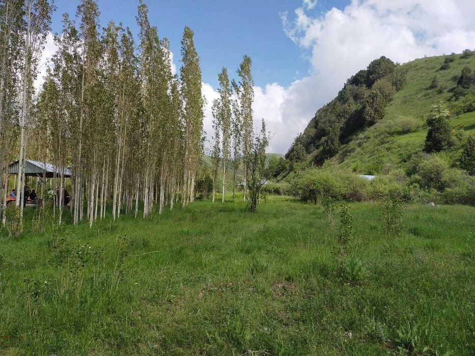 Jizzax Baxmal dam olish maskani sotiladi