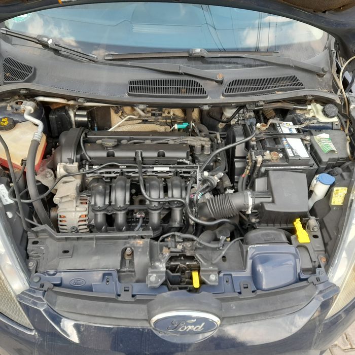 Cadou special pentru dame