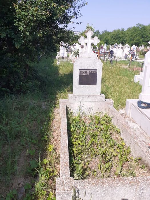 2 locuri  de veci cimitirul municipal brasov monument / lucrare