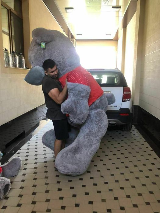 Tady yumshoq oʻyinchoqlari