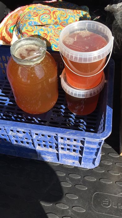 Мёд чисто горный