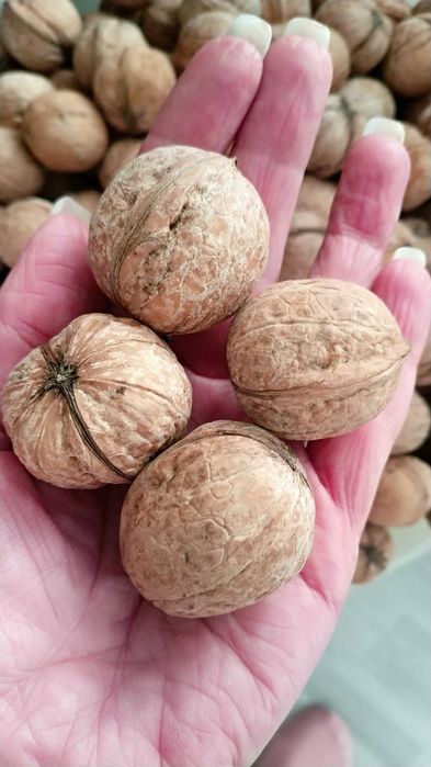 Натуральный грецкий орех