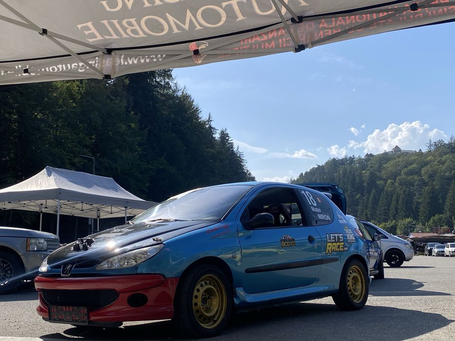 Peugeot 206 destinat competitiilor sportive