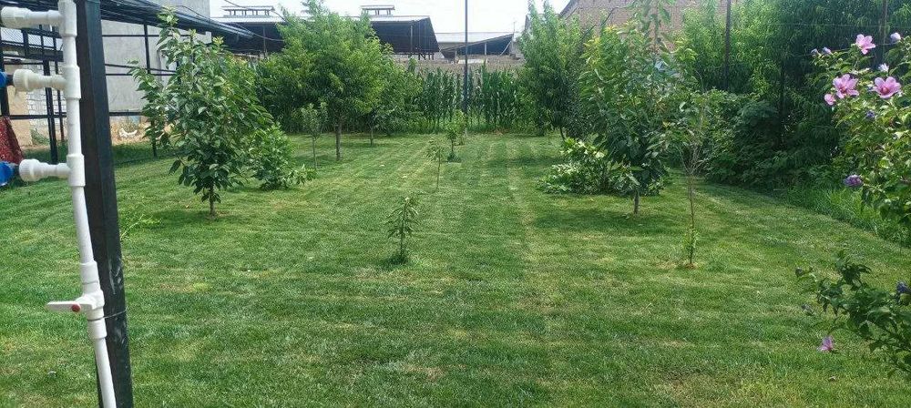 Назарбек Мевазор махаллада 2-4-8-сотих йерлар сотилади