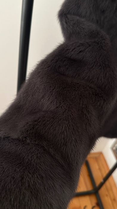 Продавам палто от норка