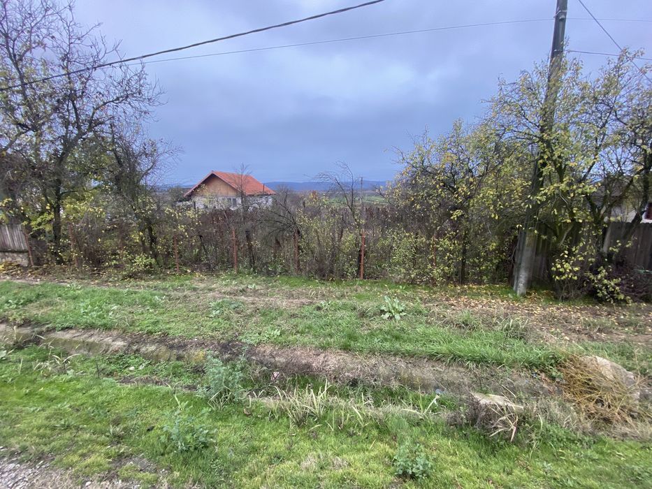 Teren la european e79