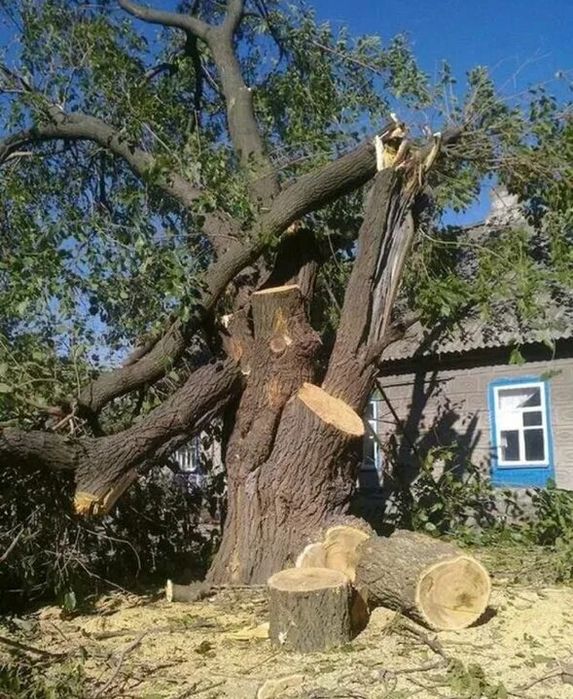 Спилка деревьев Выкарчовка пней