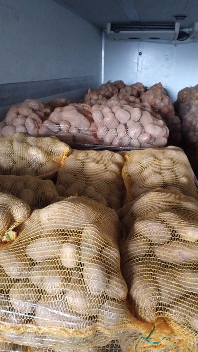 Cartofi de vânzare .Clasa 1