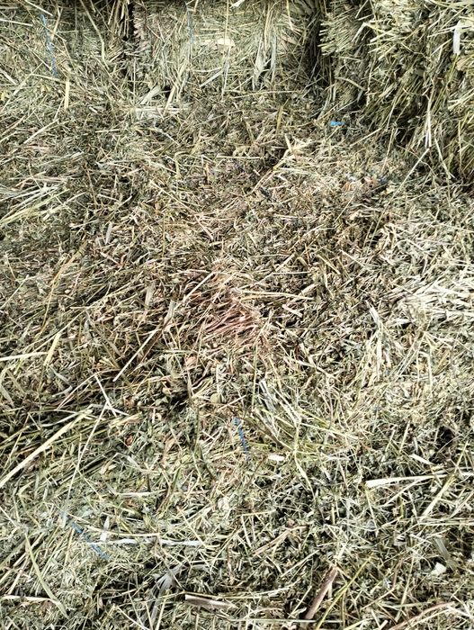 Baloti de lucerna si lucerna cu fin,iarba  și paie de grau