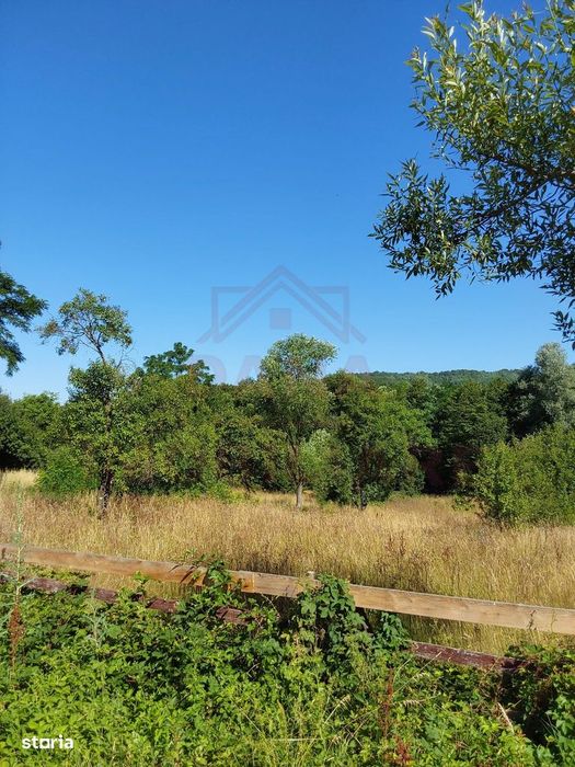 Teren Intravilan Zăvoi\Zona Valea Bistrei, Jud.c-S