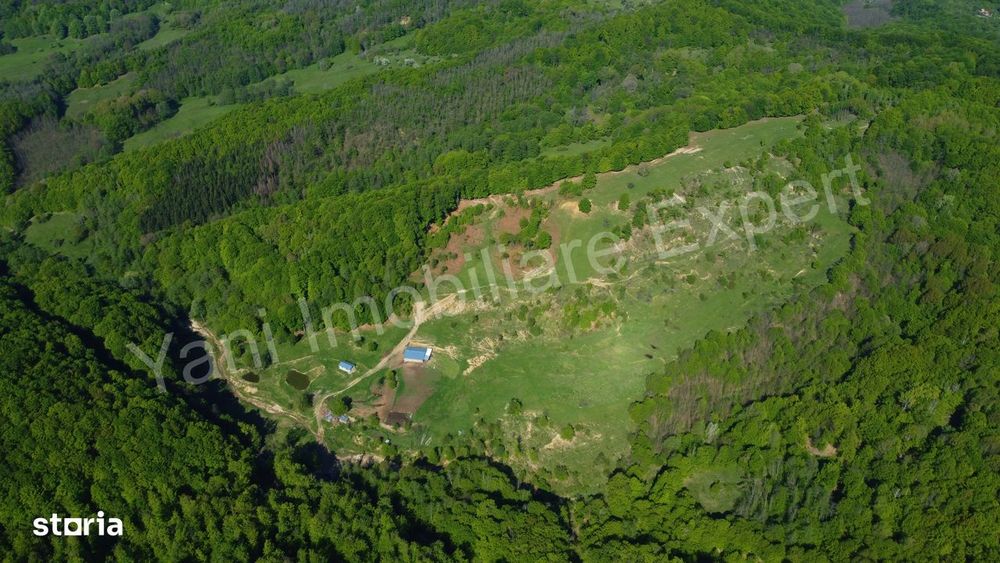Teren cu stană de vânzare în apropiere de Curtea de Argeș.