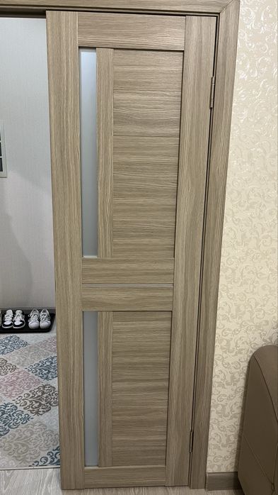 Двери и шкаф в прихожую