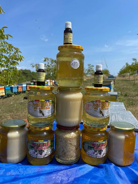 Miere salcam,miere poliflora,miere rapita,tinctura propolis,albine