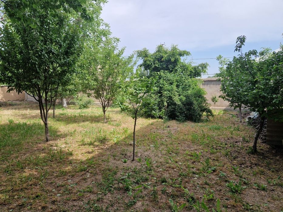 Тошкент туманида ер участкаси сотилади. 3 соток.