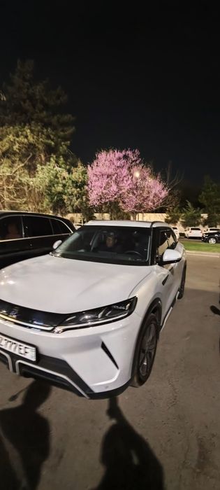 Byd yuan up 2024