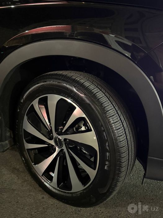 Byd chempion gibrit