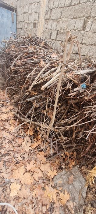 Утин дрова утин утин