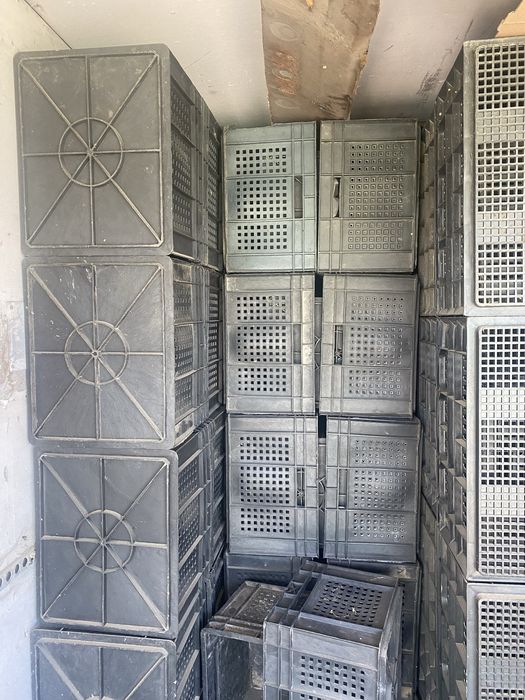 Продам пластикове ящики б/у