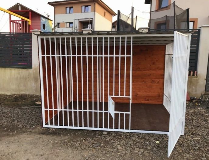 Cusca de caine complet izolata