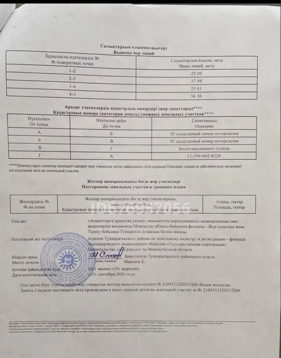 Первая береговая линия