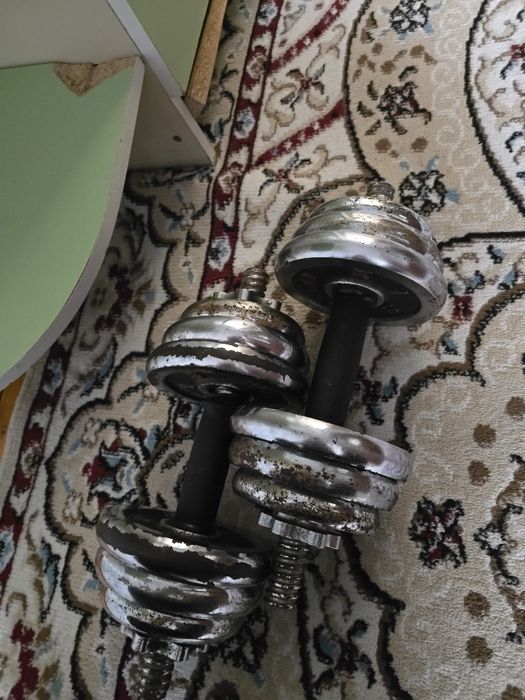 Гантель хром сост нормальный