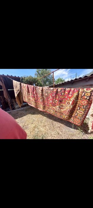 Паласы недорого.