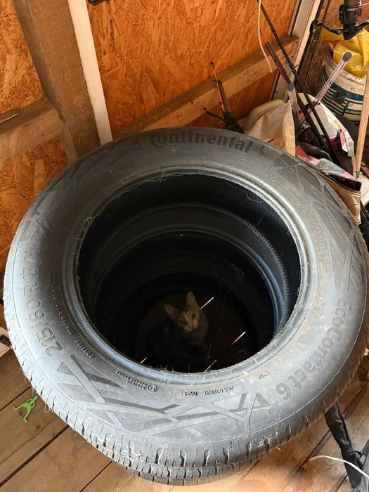 Anvelope vara Continental EcoContact 6 – 215/60 R17H