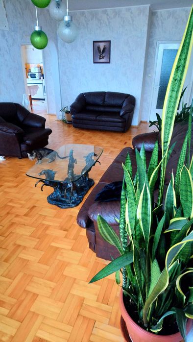 Продавам стилна стъклена холна масичка с кончета