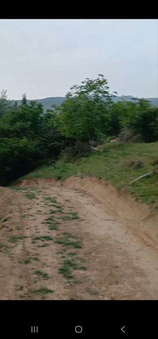 Ер сотилада Бостонлик туманида