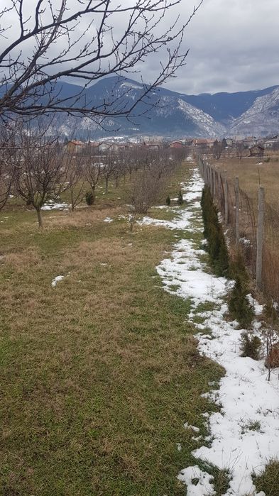 Продава се Парцел в Дупница - 2000 кв.м за 20 €/кв.м - Снимка #1