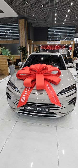 Nardo grey BYD Champion гибрид 150км 2024г.